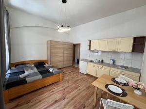 Η κουζίνα ή μικρή κουζίνα στο MIVA apartments +14 φωτογραφίες