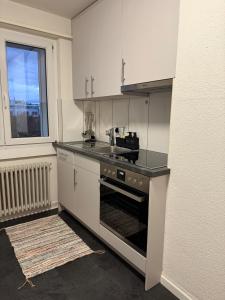 a kitchen with a stove and a sink and a window at Swiss Suites Oberentfelden in Oberentfelden