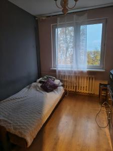 a bedroom with a bed and a large window at Pleasant apartament im center low price in Konin