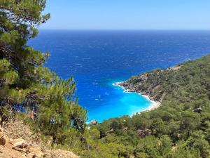 Naturlandskabet i nærheden af villaen