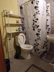 a bathroom with a toilet and a shower curtain at Libertador 4 MVD in Montevideo +20 photos