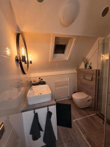 a bathroom with a sink and a toilet at Stay Rijn Tolkamer in Tolkamer