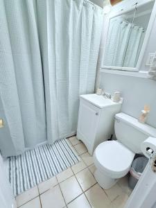 a white bathroom with a toilet and a shower at 3 bedroom near O'Hare Airport- King bed 1 Story in River Grove
