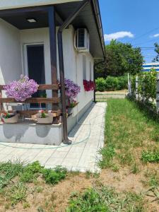 Κήπος έξω από το Kuca za odmor SVETI LUKA SIMANOVCI