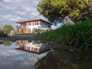 a dog sitting on the grass next to a house at Gîte Amaren Bidea, chez Simone et Manu 