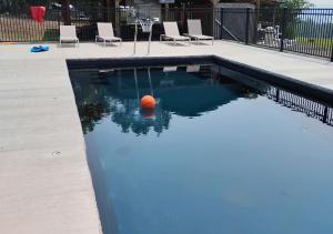 een zwembad met een basketbal in het water bij Scenic Ridge Haven Firepit, Trails & Views 