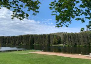 uitzicht op een meer met bomen op de achtergrond bij Scenic Ridge Haven Firepit, Trails & Views 
