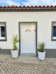 a white door with two potted plants in front of it at Casa do Mestre in Amieira