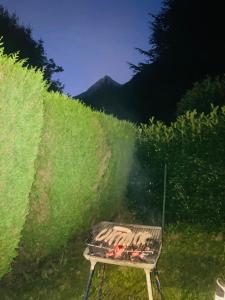 a grill in the grass with smoke coming out at Cauterets in Cauterets +12 photos