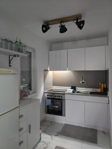 Kuchyň nebo kuchyňský kout v ubytování Apartman Majdan