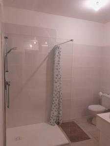 a bathroom with a shower and a toilet at Logement indépendant au cœur d'une ferme in Blandin