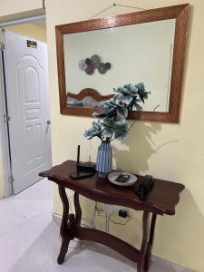 a table with a mirror and a vase with a plant on it at Eastern Breeze in Hainamosa
