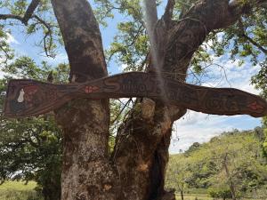 a wooden sign attached to a tree at Sítio Bela Vista in Areado