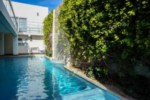 Fotografie z fotogalerie ubytování Hotel Boutique Bahía v destinaci Bahía Kino