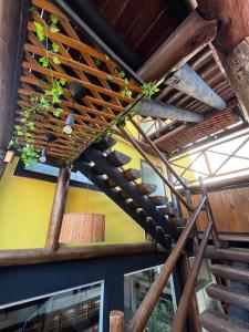 a wooden spiral staircase with plants on the ceiling at 14 Bis Hospedagem in Arembepe
