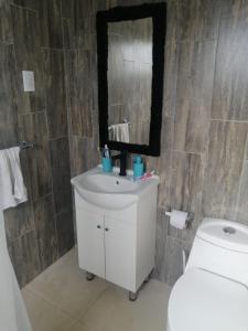un bagno con un water, un lavandino e uno specchio di Hermosa casa BOSQUE PLAYA a El Cerrillo
