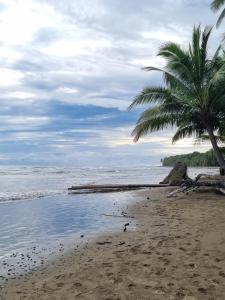 Příroda nedaleko hostelu