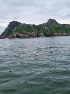 Příroda nedaleko hostelu + 5 fotografií