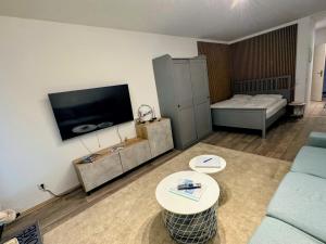 a living room with a couch and a tv at Apartment Maja unmittelbar an der Skipiste in Winterberg