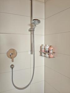 a shower with a shower head in a bathroom at Cosy cottage in the countryside near Landsberg in Schwifting