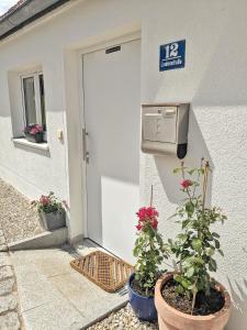 a front door of a house with two potted plants at Cosy cottage in the countryside near Landsberg in Schwifting