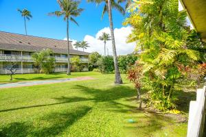 Zahrada ubytování Plantation Hale H3