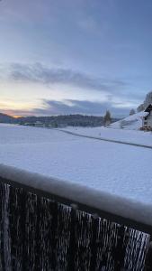 una valla cubierta de nieve con un campo cubierto de nieve en Comfort Zone, en Lenzburg