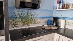 グラール・ミューリッツにあるOstseeeuleのキッチン(シンク付きカウンタートップ付) +21枚の写真