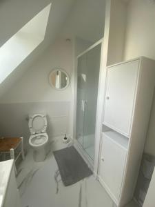 a white bathroom with a toilet and a shower at Jolie maison à mesquer in Mesquer