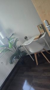 einen Schreibtisch und einen Stuhl in einem Zimmer mit einer Pflanze in der Unterkunft 3-Raum-Wohnung beim Luther in Chemnitz + 1 Foto