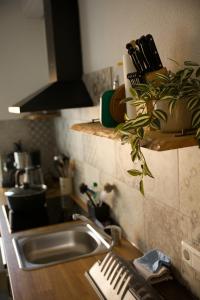 a cat sitting on a kitchen sink in a kitchen at Ferienwohnung Peters (EG) in Hünfeld
