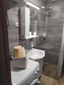 Koupelna v ubytování Studio ISKRA 2 Novi Sad