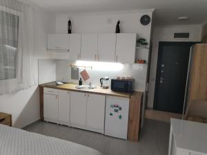 Kuchyň nebo kuchyňský kout v ubytování Studio ISKRA 2 Novi Sad