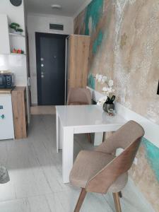 Kuchyň nebo kuchyňský kout v ubytování Studio ISKRA 2 Novi Sad + 8 fotografií