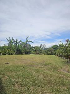 Gallery image of Mil Flores San Rafael in Turrialba
