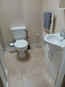 un baño con inodoro y lavabo en A1 apartment, en Loughrea
