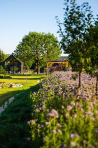 Zahrada ubytování Siedlisko 3 Stodoły Bałtów - SPA w naturze