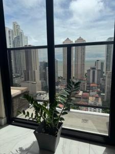 Billede fra billedgalleriet på Apartamento en Panama, centrico y hermoso i Panama City