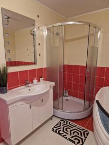 a bathroom with a shower and a sink at Jaukus butas senamiestyje in Klaipėda +14 photos