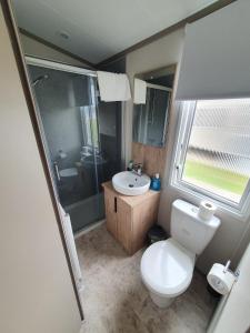 een badkamer met toilet, wastafel en douche bij Flamingo land holiday home in Kirby Misperton