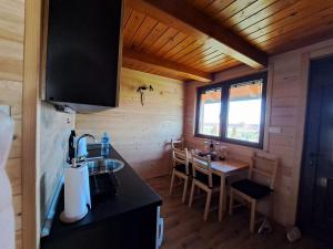 a kitchen and dining room with a table in a cabin at Fruškogorske brvnare in Sremski Karlovci