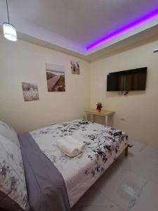 a bedroom with a bed and a flat screen tv at Compostela Guest Room #1 Terrace, Rooftop, Netflix, WiFi in Compostela