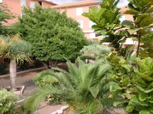 a garden with trees and plants in front of a building at Mar y Sol I Candelaria in Punta Larga