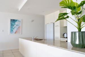 eine Küche mit weißen Schränken und einer Topfpflanze in der Unterkunft Beachfront 3-Bed with Pool & Stunning Ocean Views in Trinity Beach