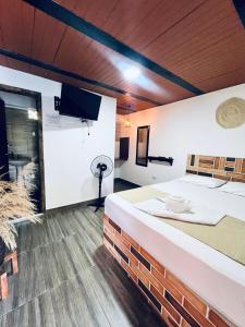 a room with a large bed and a television at Hotel Kapla in San Rafael