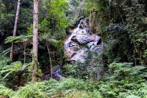 Příroda nedaleko prázdninového domu