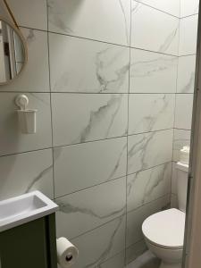 une salle de bain blanche avec toilettes et miroir dans l'établissement Dublin Studio Stay, à Dublin