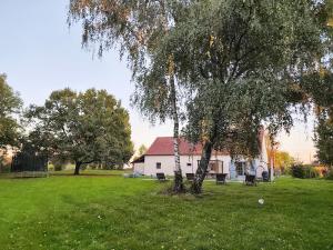 a white house with a tree in a field at Felicità - Longère with swimming pool and large garden in Poulaines
