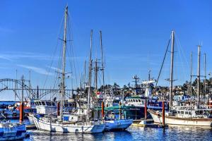 a group of boats docked in a harbor at Historic Bayfront! Stellar Bridge & Bay Views! Bay Dreaming in Newport