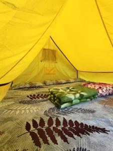 Fotografie z fotogalerie ubytování River - Paradise Camps v destinaci Dawki